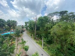 Villa Delle Rose (D10), Condominium #486596771